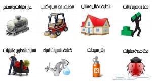 شركة مكافحه الحشرات بالاحساء